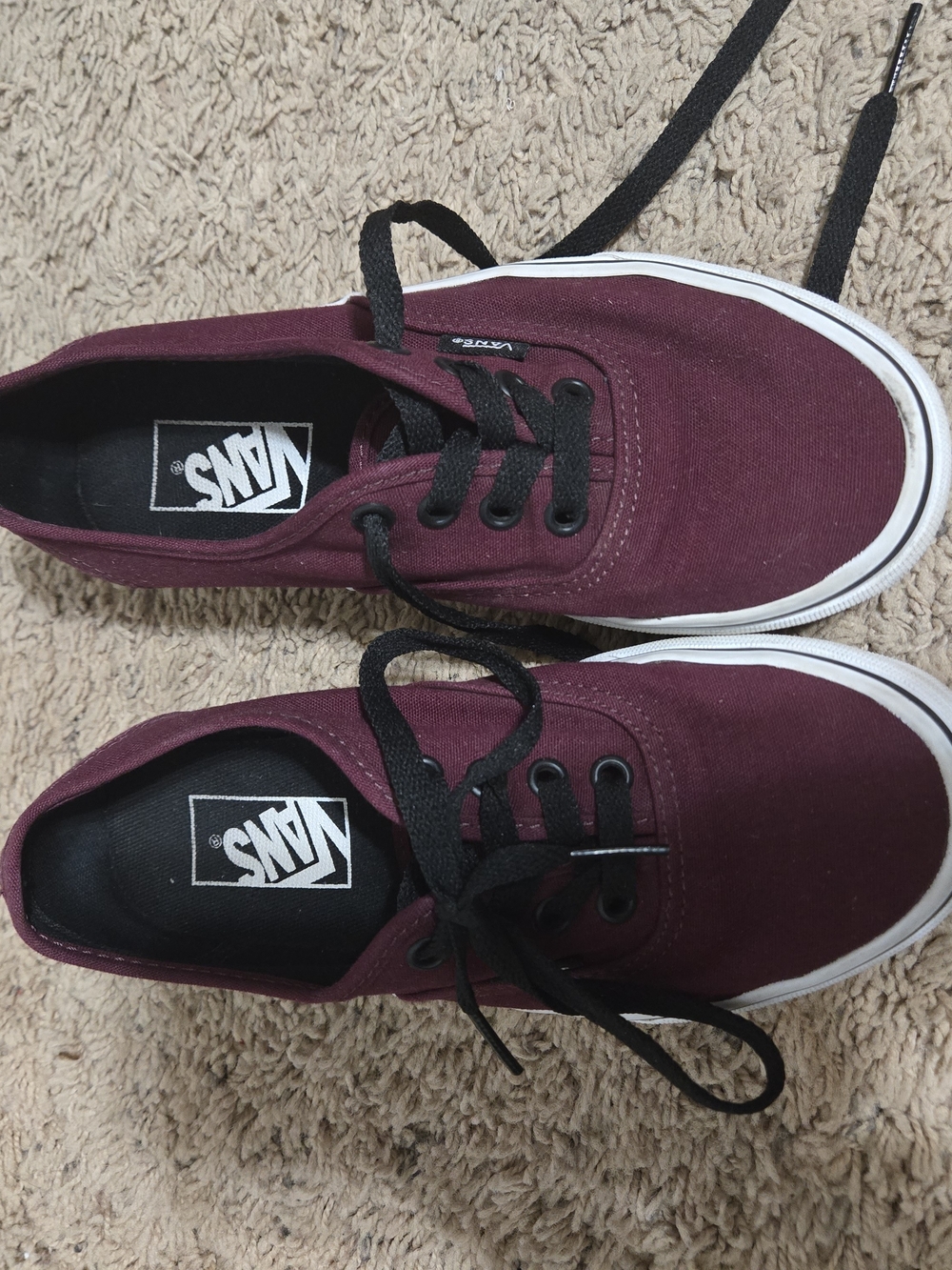 Vans Maroon Canvas Low-Top Sneakers with Black Laces